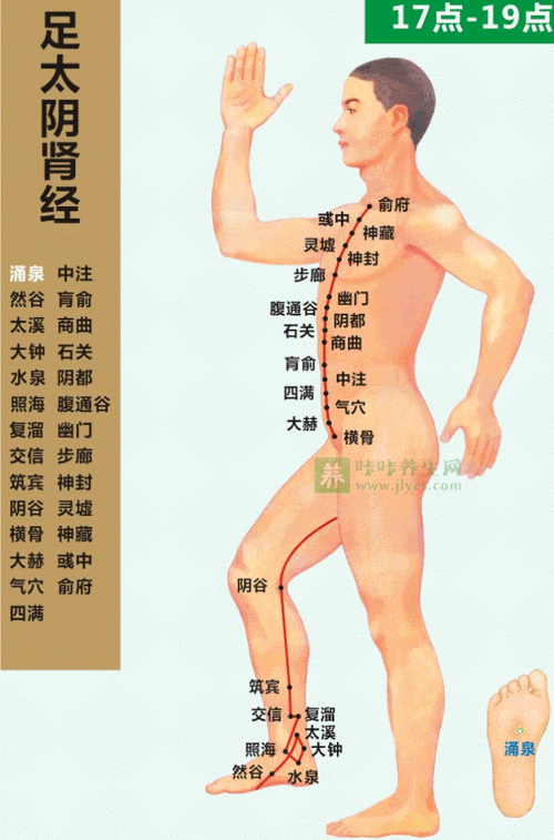 【十二经络】足少阴肾经