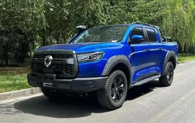 了一辆皮卡,十分喜欢,于是问车主这是什么车,多少钱,听到30万的价格后